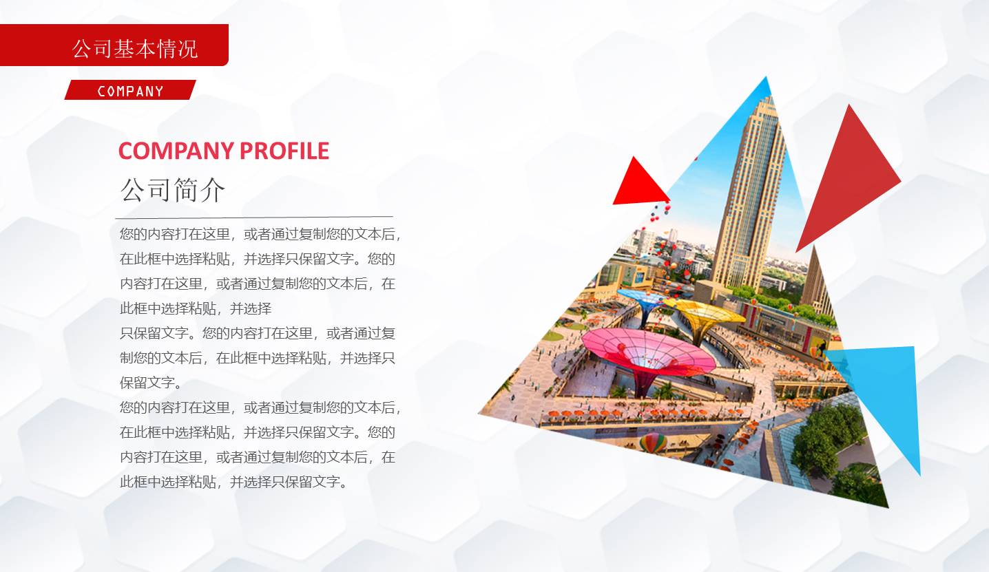 项目策划 (43).pptx